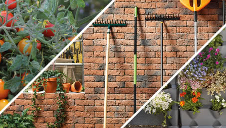 Niezbędnik początkujących ogrodników