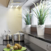 Szyba kominka jest ruchoma. Gdy gospodarze mają...