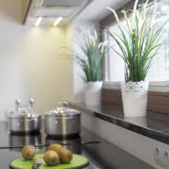 Funkcjonalny dom pod lasem