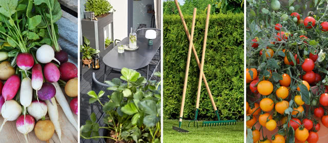 Niezbędnik początkujących ogrodników