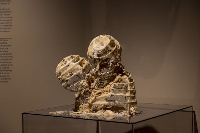 rzeźba artystyczna zuzanna janin pocałunek wata cukrowa