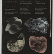 Olga Micińska, proces powstawania pracy Skurcz...