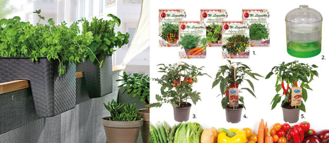 Niezbędnik początkujących ogrodników