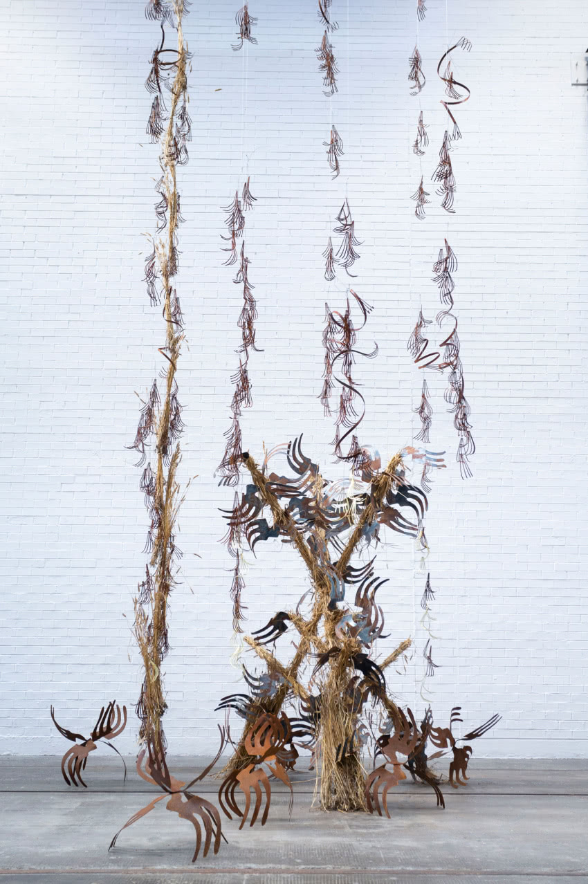 Iza Tarasewicz, Cluster of Contingencies I and...