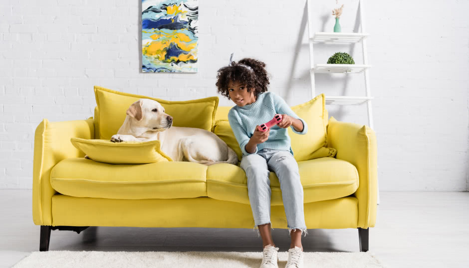 Wnętrza przyjazne zwierzętom - jak przygotować mieszkanie na nadejście zwierzaka?