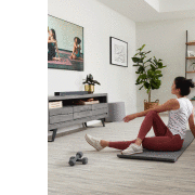 JBL bar 300