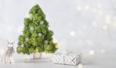 Trafione tipy choinkowe! Jak stworzyć drzewko inne niż wszystkie