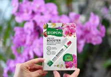 Bopon Orchid Booster. Jak pobudzić storczyka do ponownego kwitnienia? 