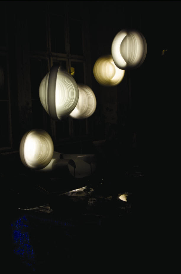 Warzywo wystawowe.
Projekt "Cebula" został...