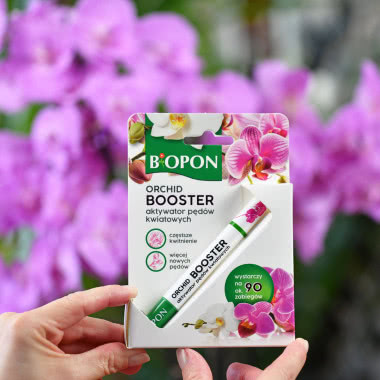 Bopon Orchid Booster – aktywator pędów kwiatowych do storczyków na tle kwitnących różowych orchidei.