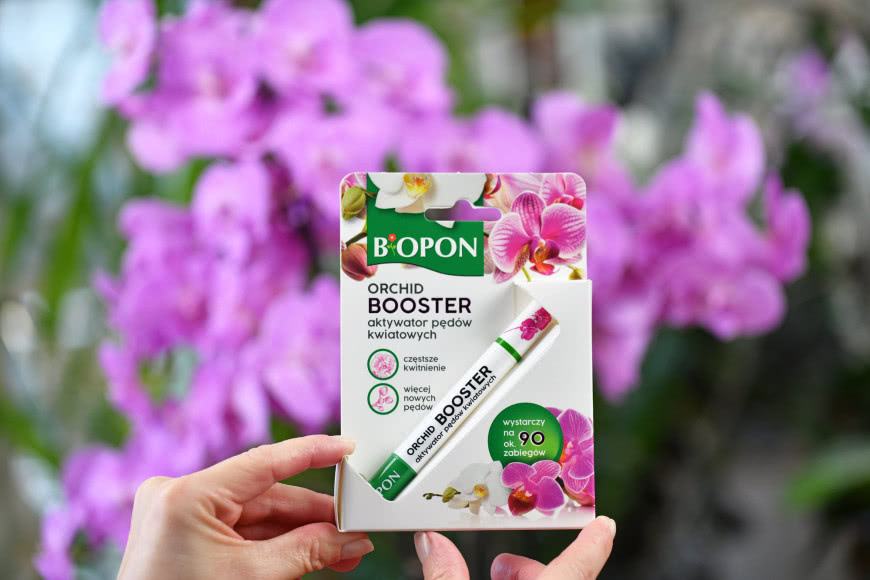 Bopon Orchid Booster – aktywator pędów kwiatowych do storczyków na tle kwitnących różowych orchidei.