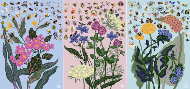 Wielka Wystawa Pszczół 2025