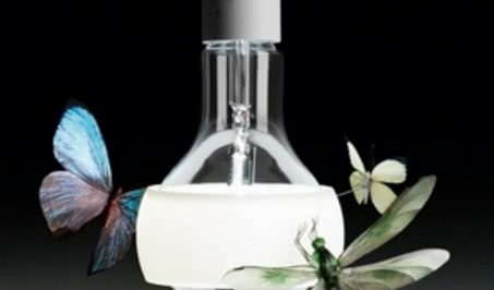 Lampa świecące motyle