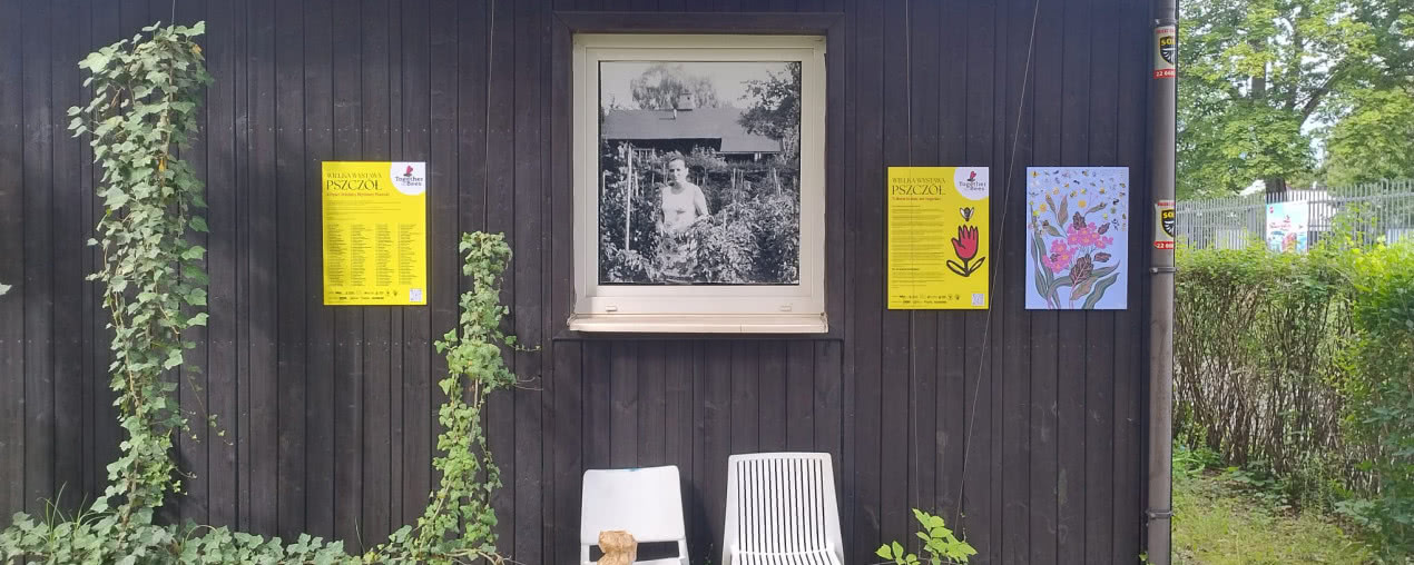 Pięć lat Together for Bees - jubileusz, sztuka i premiera wyjątkowego plakatu w MOCAK Bookstore