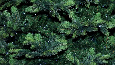 Sztuczna czy prawdziwa? Choinkowe dylematy