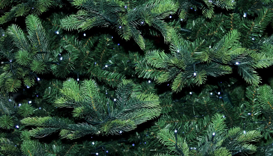 Sztuczna czy prawdziwa? Choinkowe dylematy