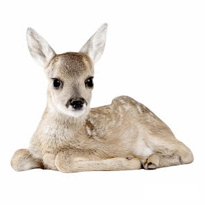 Naklejka ścienna Sarenka, 100 cm, DEKORACJAN, 125 zł