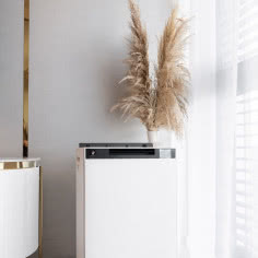 Oczyszczacz powietrza do dużych pomieszczeń. Sharp KI-TX poradzi sobie nawet z 76 m²