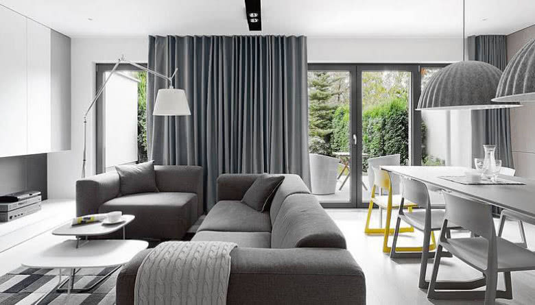 Plusy i minusy karniszów