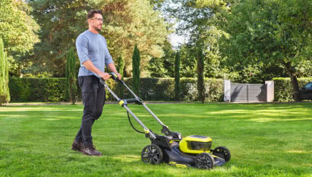 Piękny trawnik przez cały rok. Jak o niego dbać?