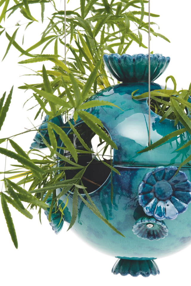 wiszące wazony Marimo