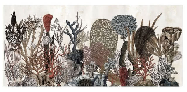 Fototapeta Coralfull 2016, Wall&Deco