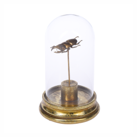 Scarabeus
Dome. Elegancka figurka
żuka zamknięta
pod szklaną kopułą,
miloohome.pl
150 zł