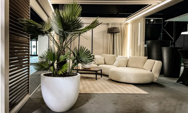 palma, biała duża donica, kanapa, lampa podłogowa, dywan, zasłony, żaluzje