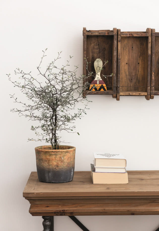 Aranżacja książek we wnętrzu