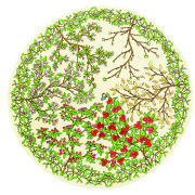 Szklany wazon Bell-Jar, Ontwerpduo