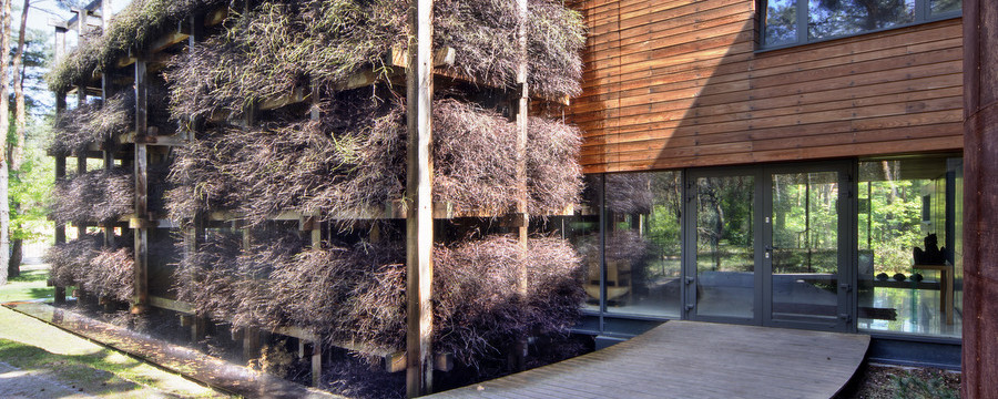 Eko dom pod Warszawą - oryginalna architektura