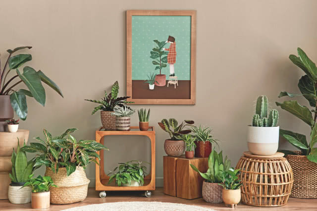 beżowy brązowy kolor ścian w salonie