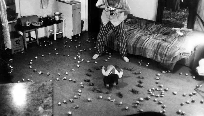 Działania z rodziną