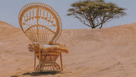 Piękny fotel peacock o mrocznej przeszłości. Fotel skazańca!