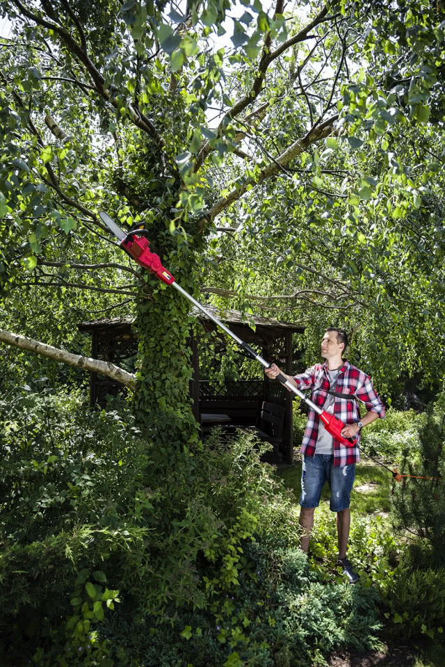Przycinanie gałęzi