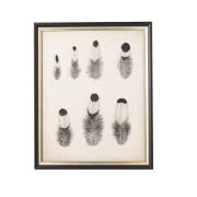 Oprawiony druk cyfrowy Feathers, G&C Interiors