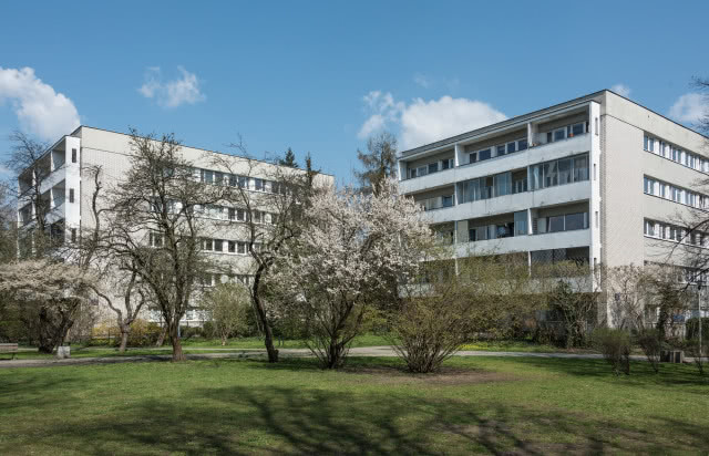 Bloki osiedla Sady Żoliborskie przy ul. Sady Żoliborskie