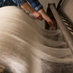 Etyczny luksus na wyciągnięcie ręki - historia sukcesu MyAlpaca