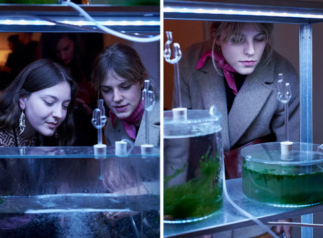 Wystawa "Antropocen" w Łodzi