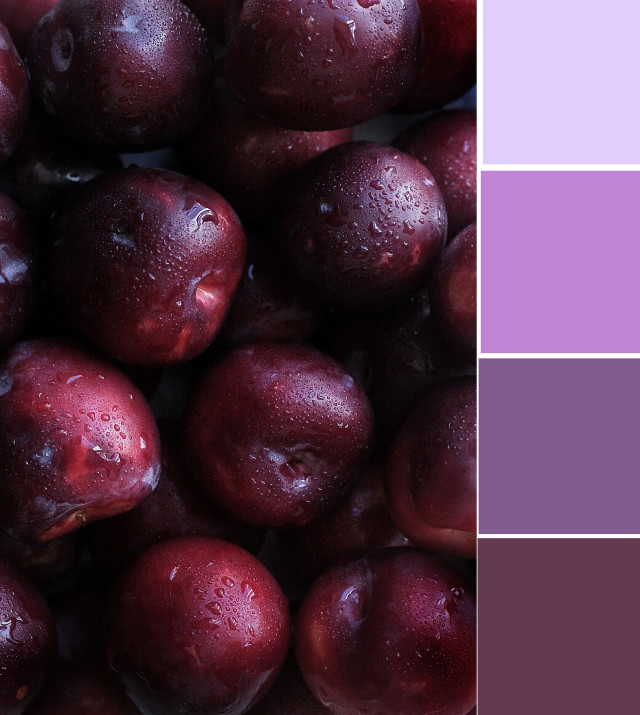 Odcienie fioletowego