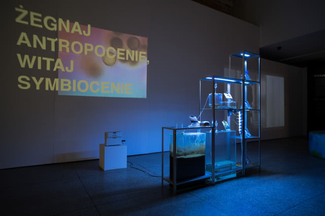 Wystawa "Antropocen" w Łodzi