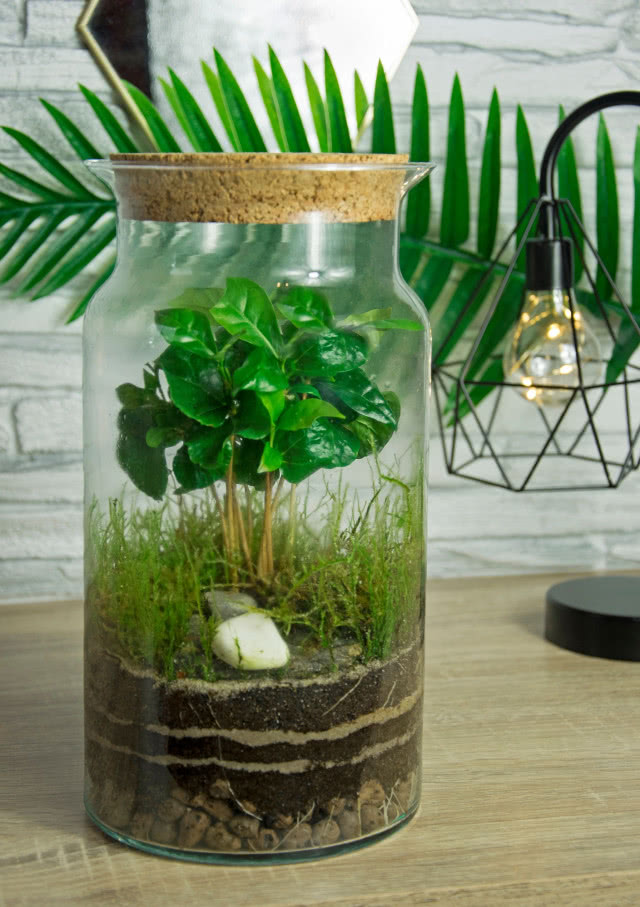 Warsztaty tworzenia lasów w szkle
