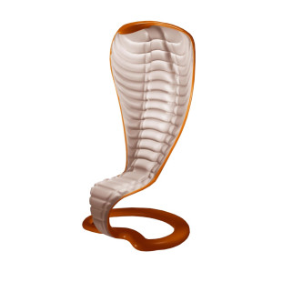 Krzesło Kobra Wild Design
