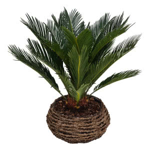 Taras w stylu new moroccan