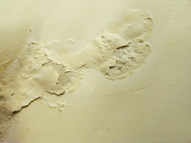 zalane ściany purchle