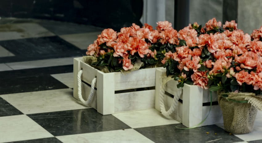 Konferencja prasowa Geberit, kwiaty Tomaszewski,...