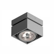 Oprawa stropowa Tuz QR111 3