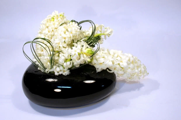 Elegancki kontrast białych kwiatów hiacynta i czarnego lśniącego wazonu