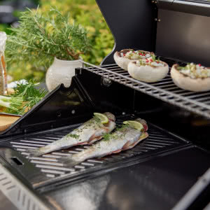 Grill gazowy - jak wybrać ten idealny?