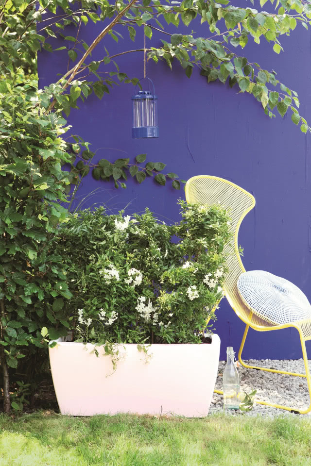 Niebieski kolor w ogrodzie